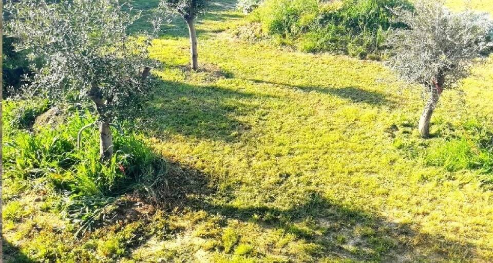 Terrain à BIZE-MINERVOIS
