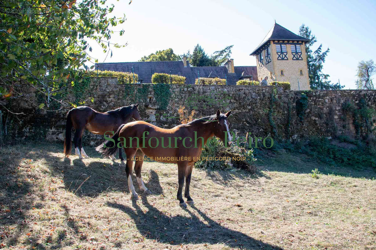 Maison à SARLAT-LA-CANEDA