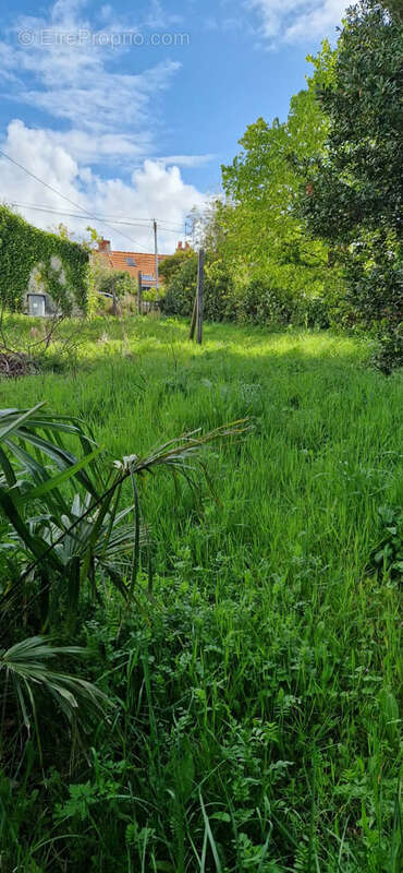 Terrain à PREFAILLES