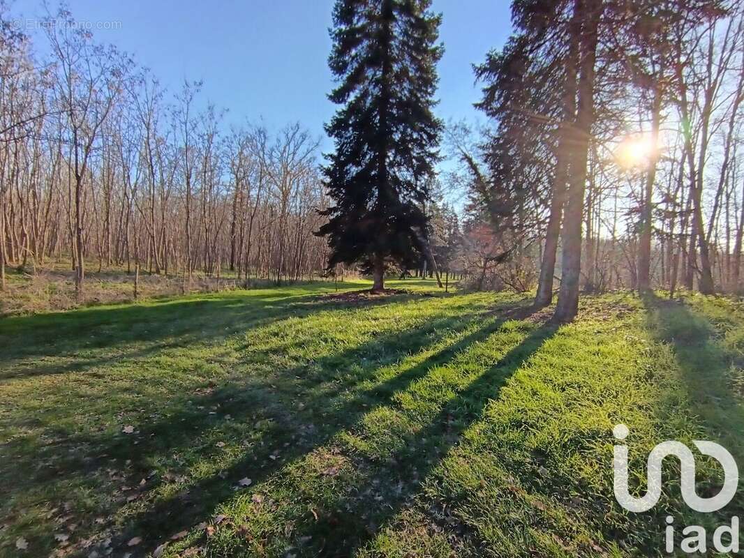 Photo 2 - Maison à MONTS-SUR-GUESNES