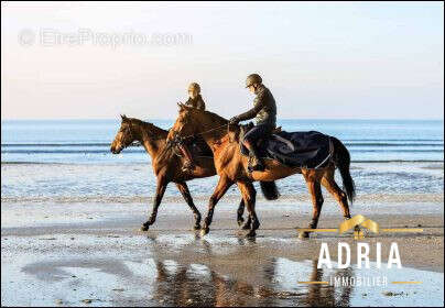 Appartement à BENERVILLE-SUR-MER