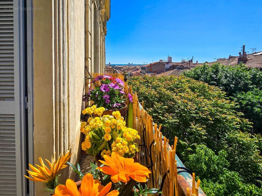 Appartement à SETE