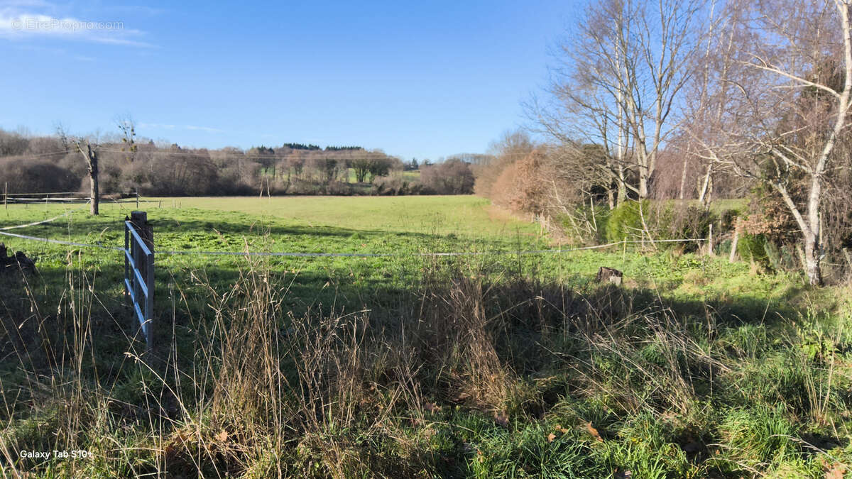 Maison à LA CROISILLE-SUR-BRIANCE