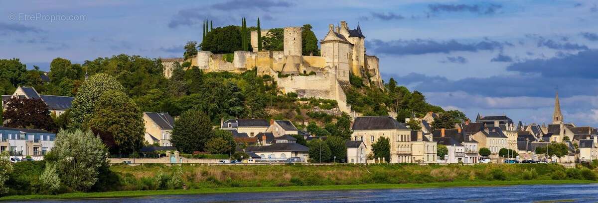 Terrain à CHINON