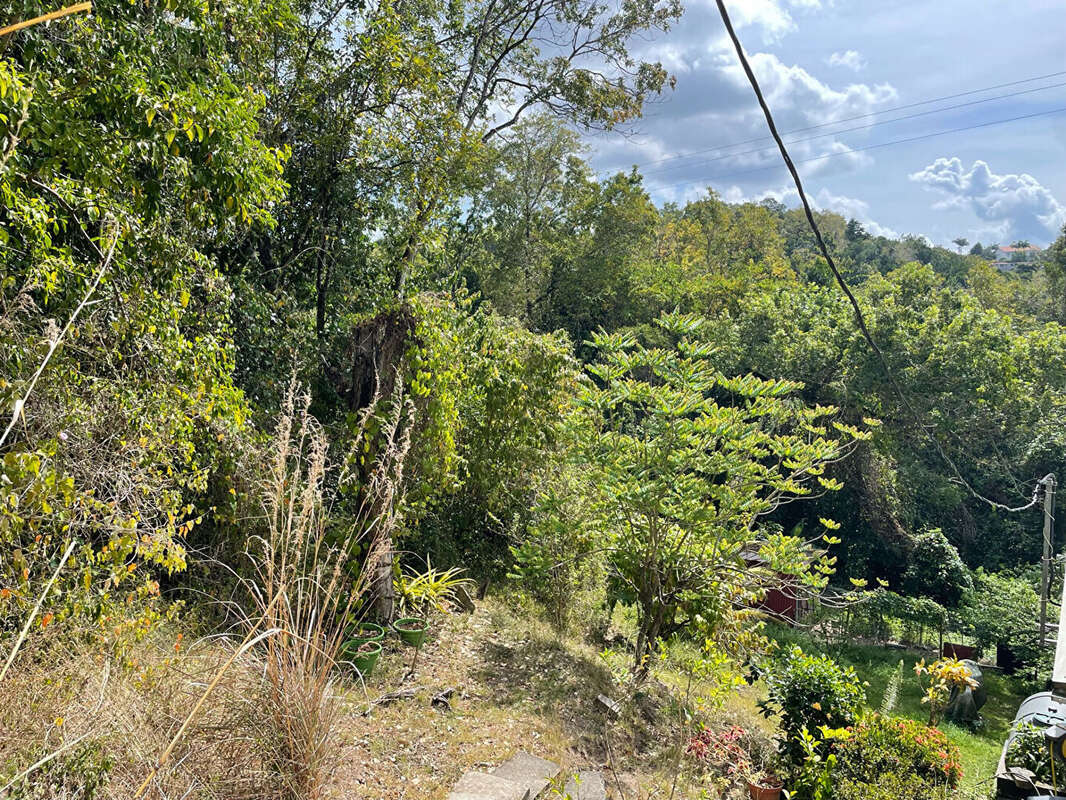 Terrain à SCHOELCHER
