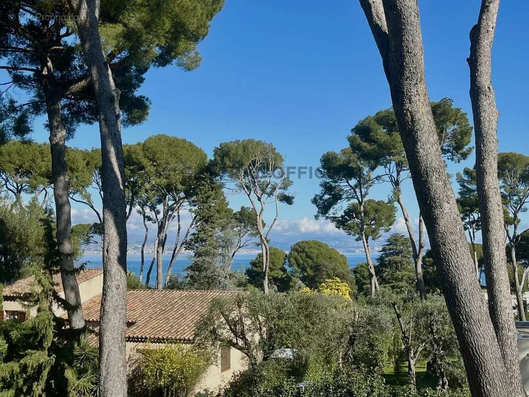 Maison à ANTIBES