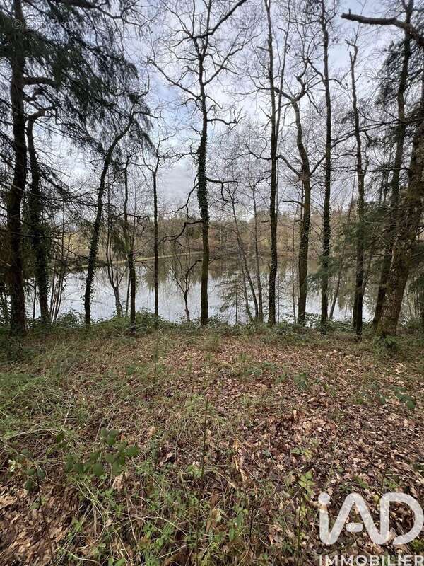 Photo 2 - Terrain à CHAILLAC-SUR-VIENNE