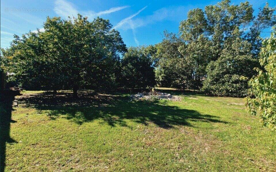 Terrain à SAINT-FROULT
