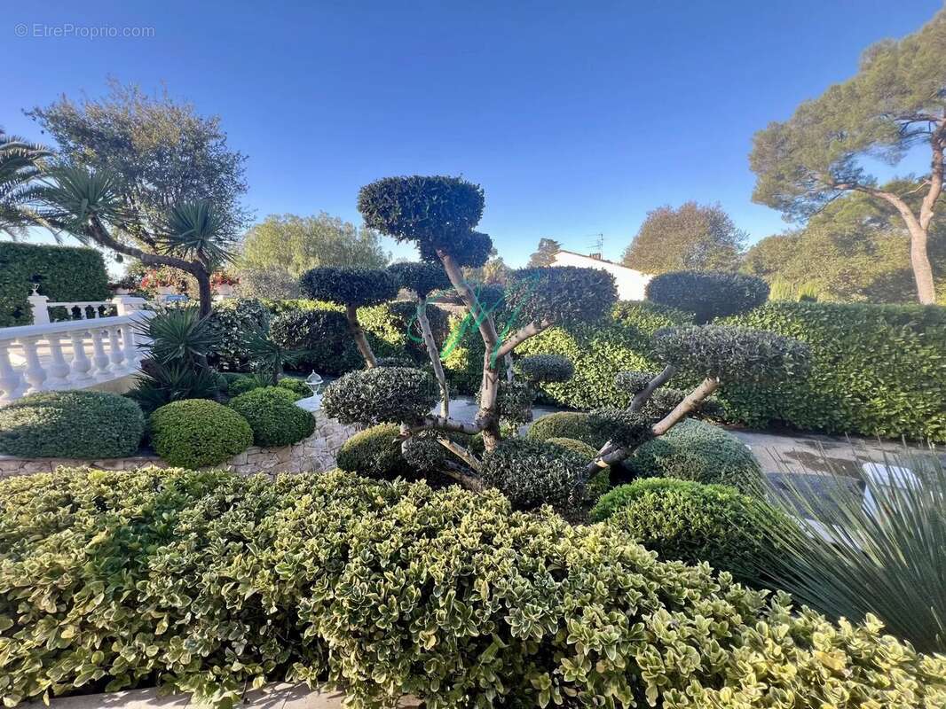 Maison à ROQUEFORT-LES-PINS