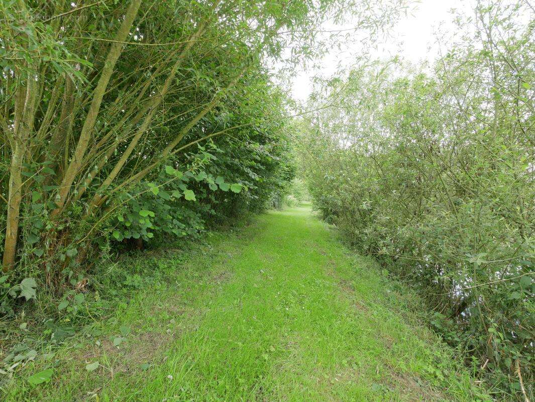 Terrain 5 062 m² à vendre à Saint-Aubin-D'aubigne (35250) - photo 10
