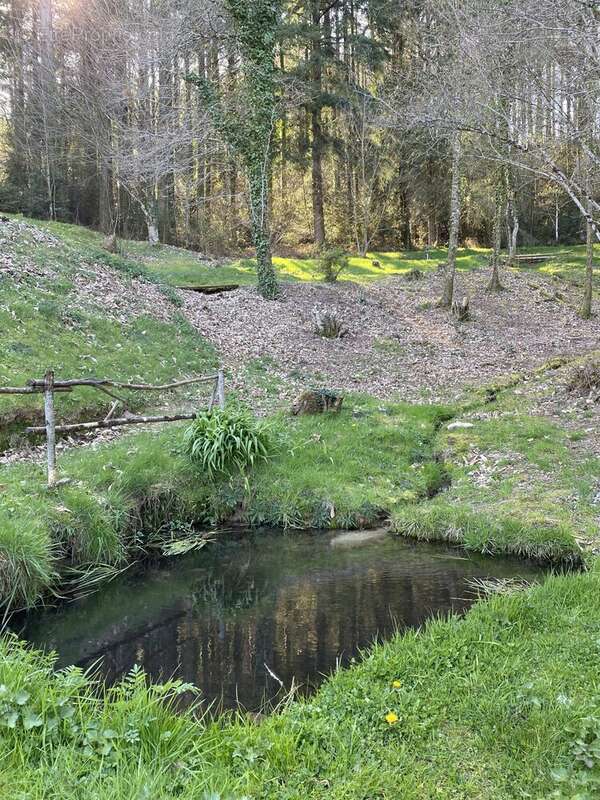 Maison à SAINT-JULIEN-LE-PETIT
