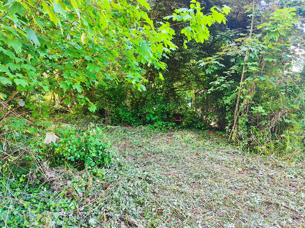 Terrain à PFASTATT