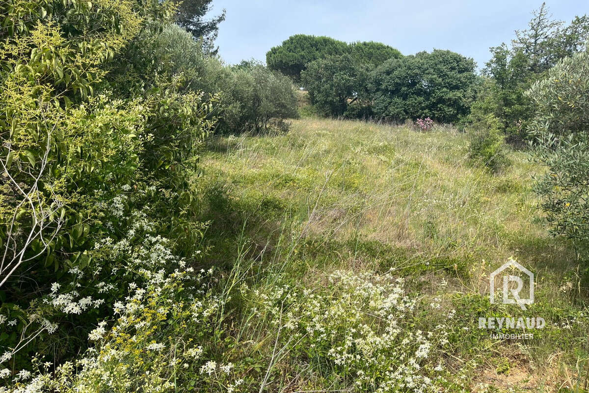 Terrain à ASPIRAN