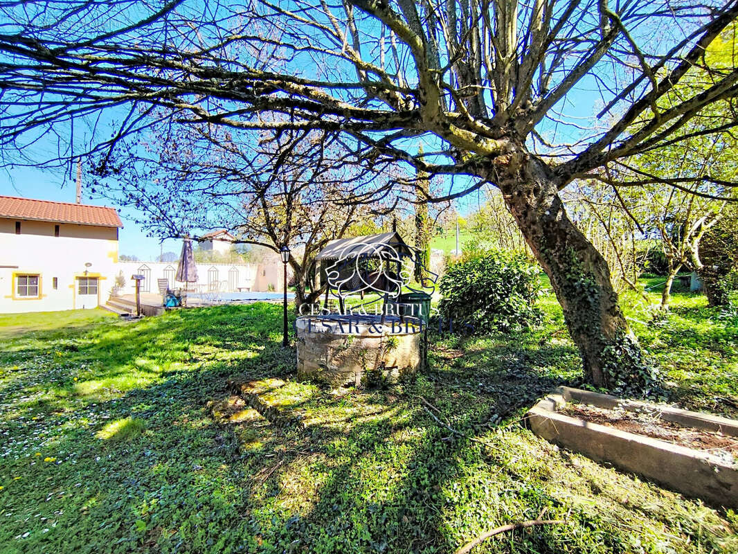 Maison 254 m² à Chandon  - photo 6