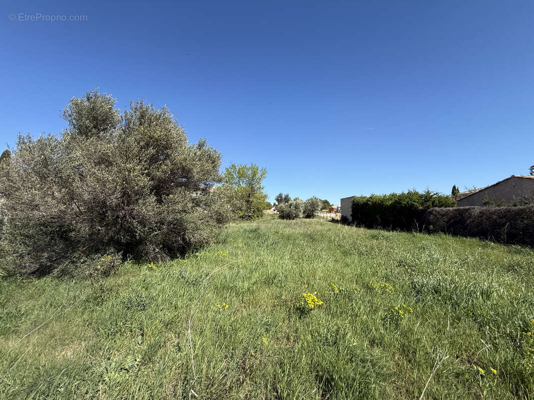Terrain à MONTPEYROUX