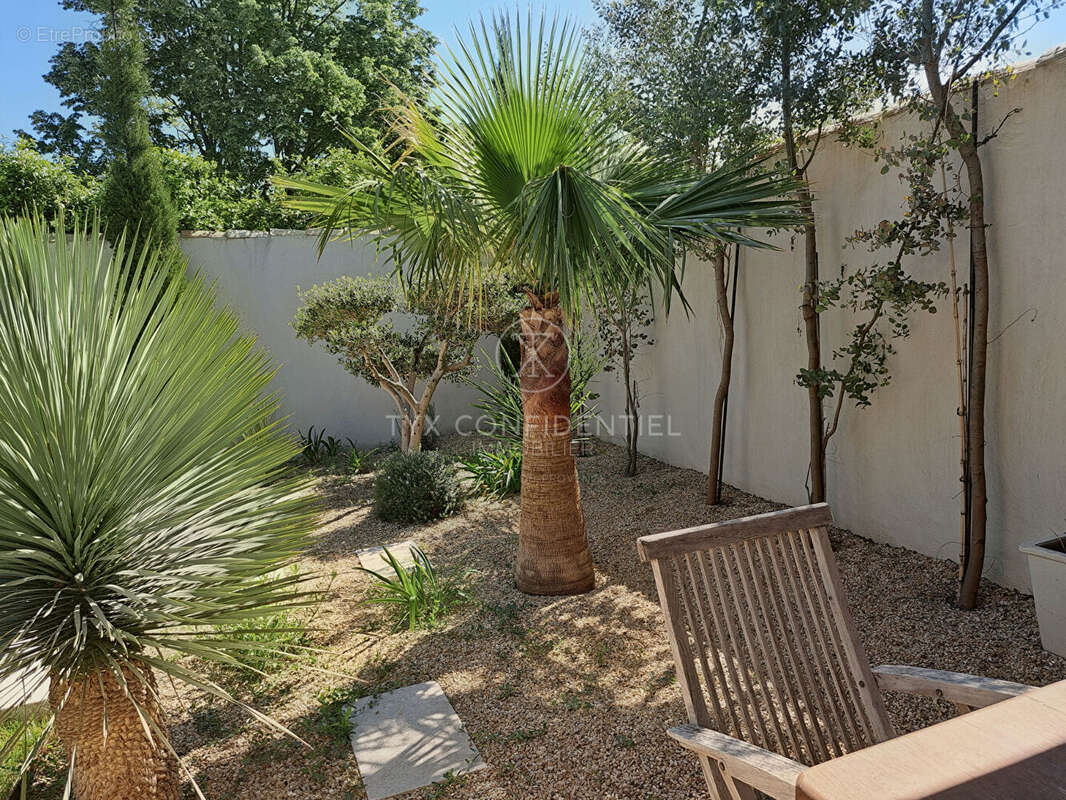 Maison à SAINT-REMY-DE-PROVENCE