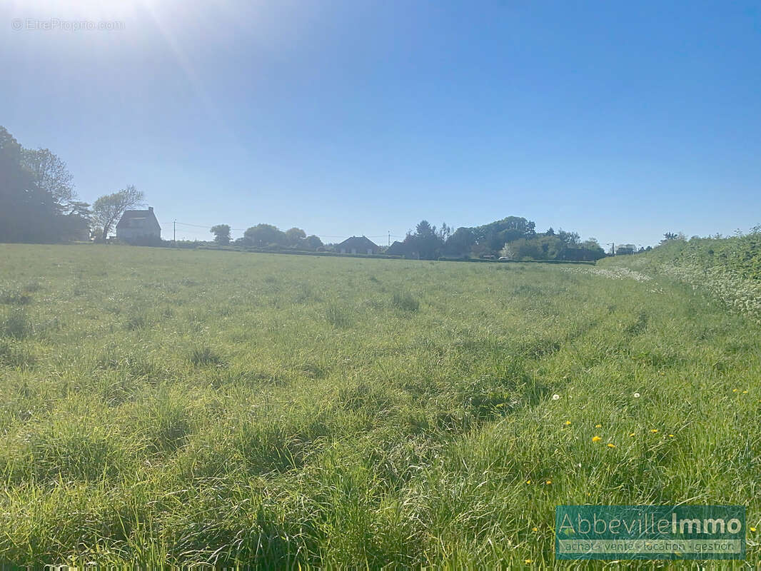 Terrain à CRECY-EN-PONTHIEU