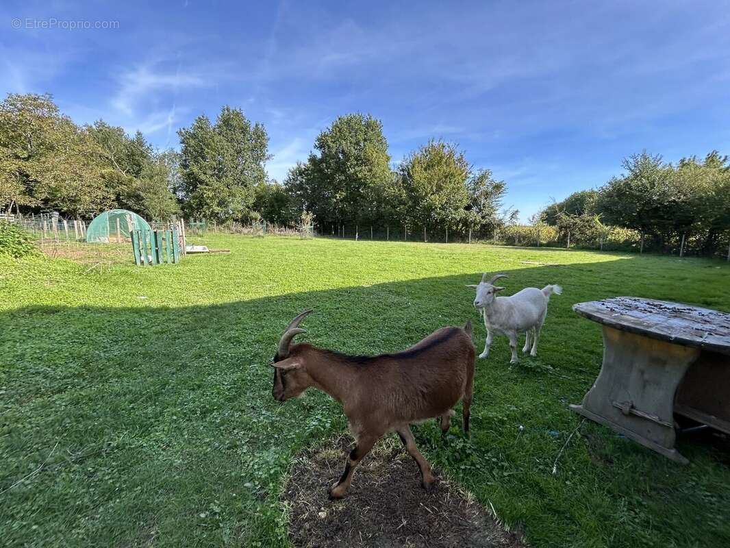 Jolie maison en pierre de 3 chambres avec grand jardin et grange, près de Civray - photo 15