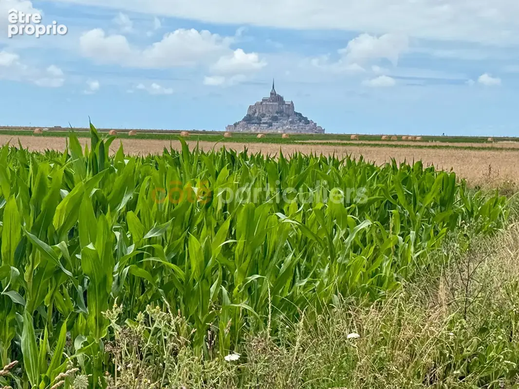 Ardevon  à seulement 4km à pied du Mont-Saint Michel - photo 13