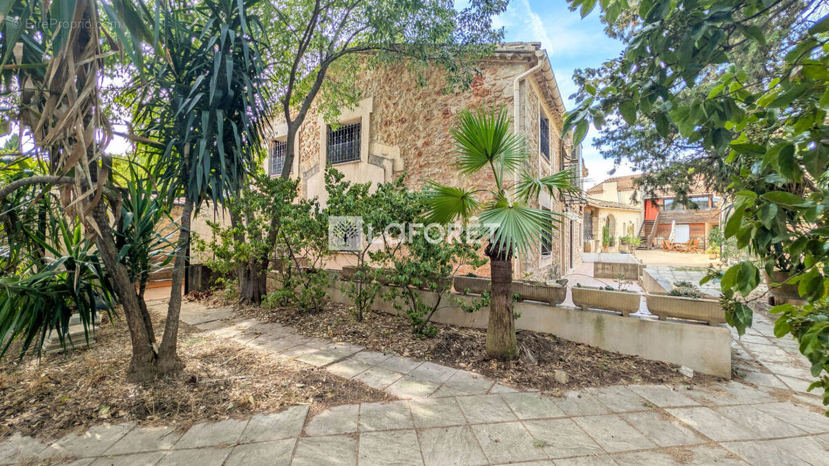 Maison à MONTPELLIER