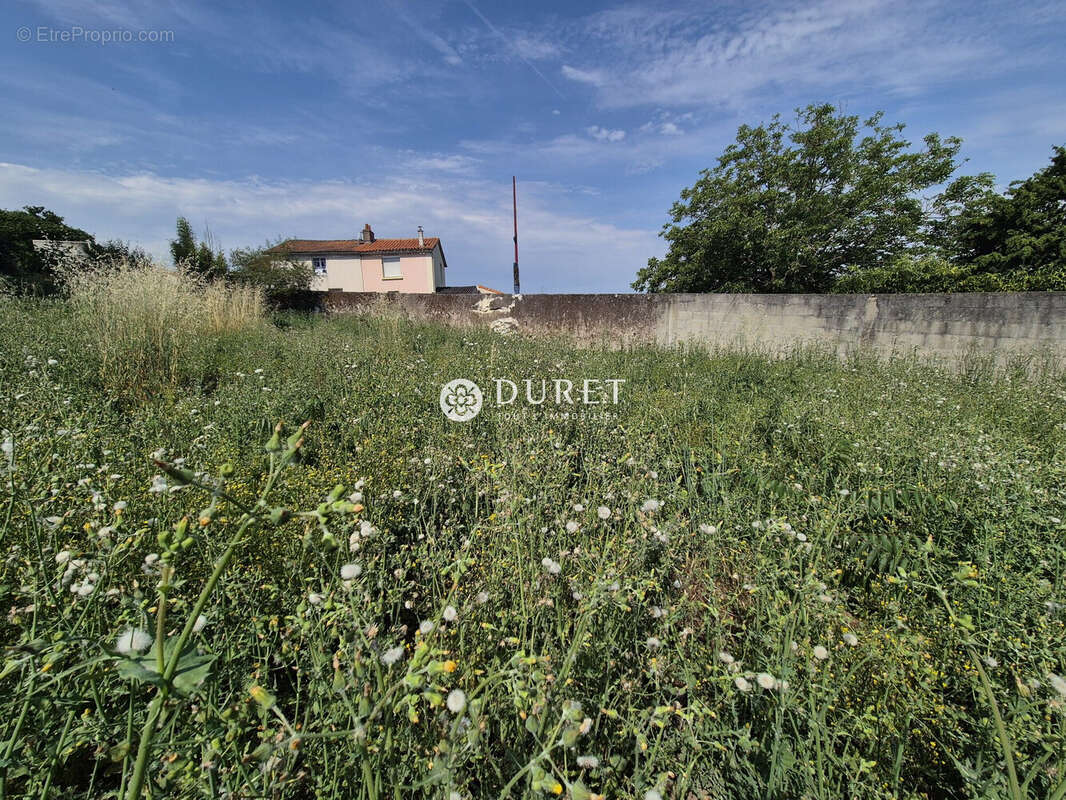 Terrain à DRAIN