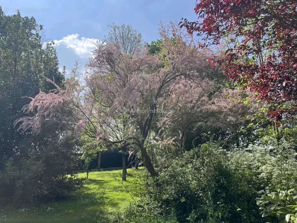 Maison à CHANTONNAY