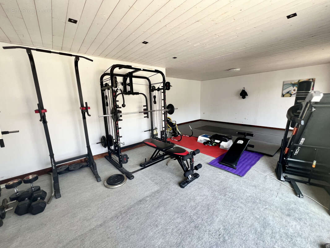 Maison à SAINT-PAUL-SUR-SAVE