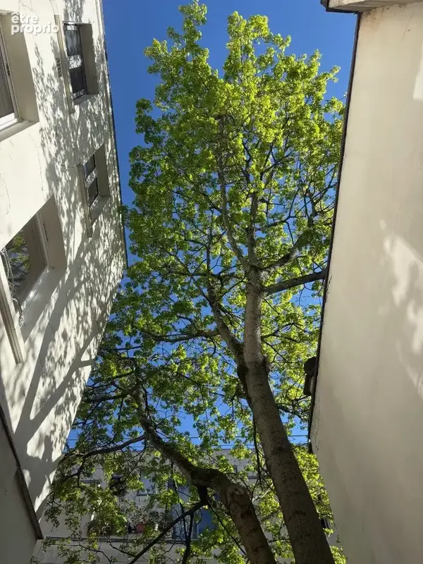 Comme une maison à Paris - Triplex d'architecte - photo 3