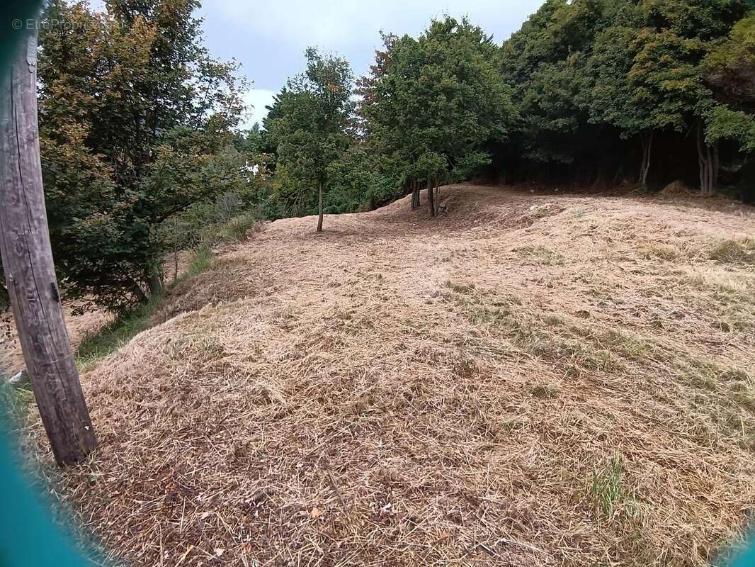 COURSEGOULES, RARE terrain constructible exposé sud - photo 8