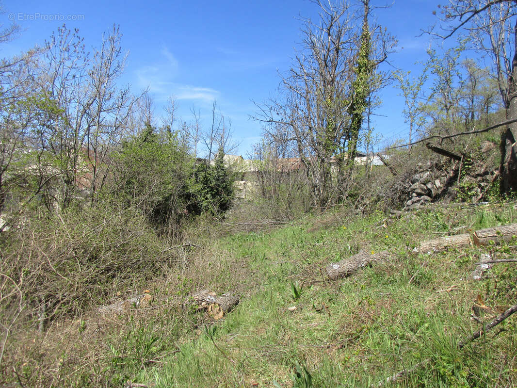 Terrain à SAINT-CREPIN