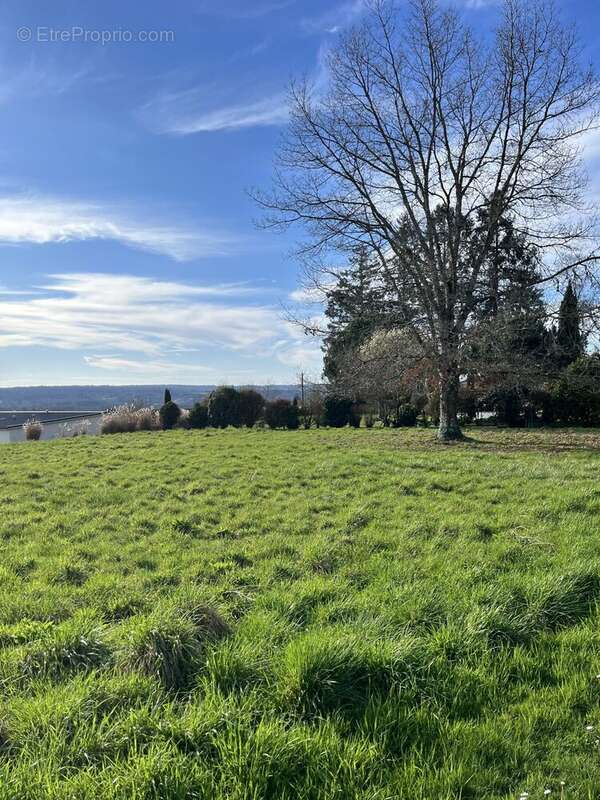 Terrain à VERNEUIL-SUR-VIENNE