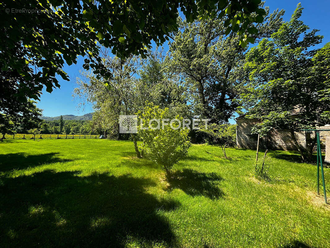 #aveyron #moulin #riviere #peche - photo 14