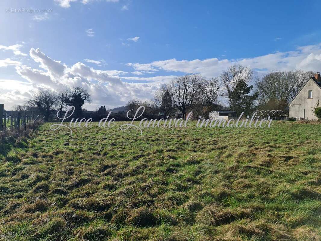 Photo 4 - Terrain à AMIGNY-ROUY