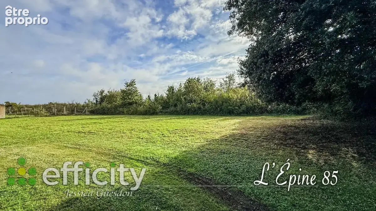 Terrain 550 m² à vendre à L'epine (85740) - photo 2