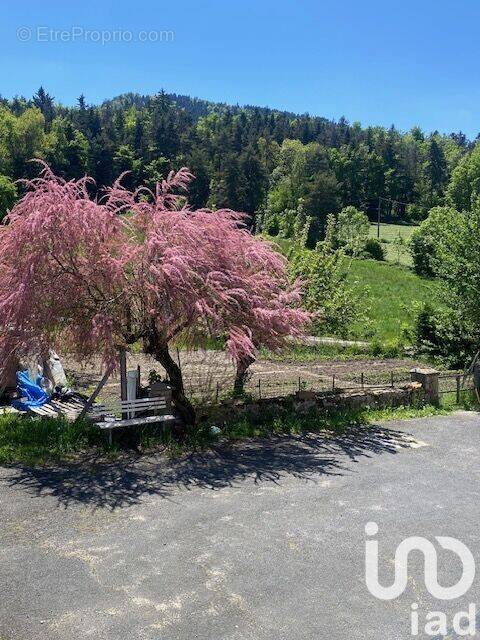 Photo 1 - Maison à YSSINGEAUX