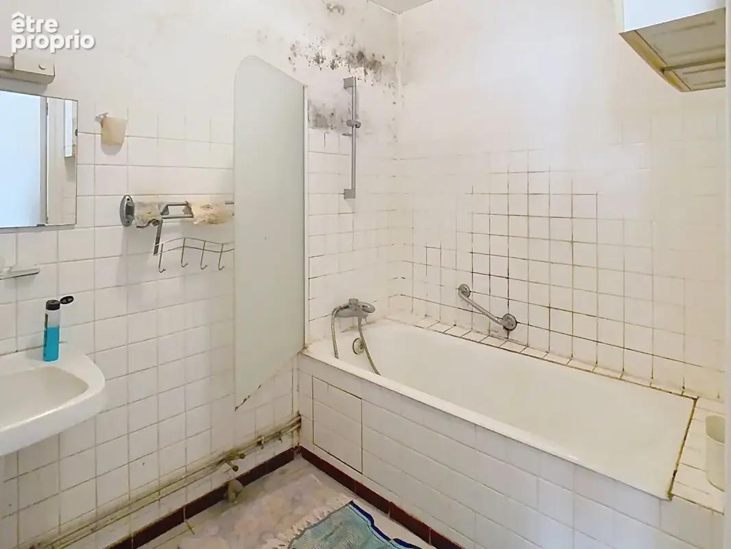 2 Appartements de type T2 Pont De Vaux  + 1 grenier aménageable - photo 6