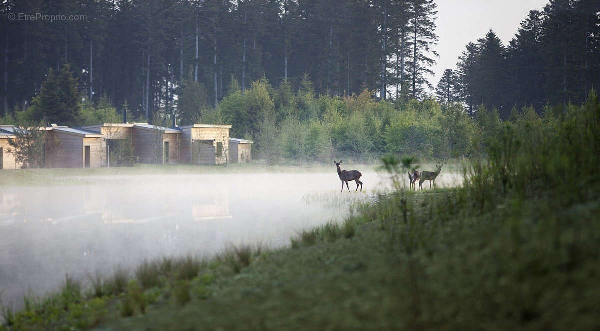 Investissement dans un Center Parcs - photo 18