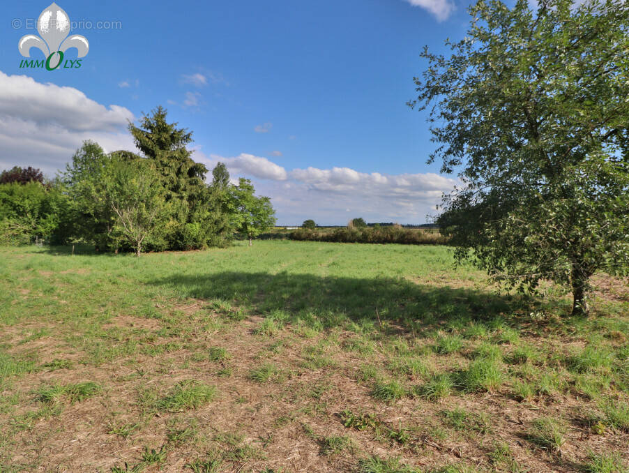 Terrain à SEURRE