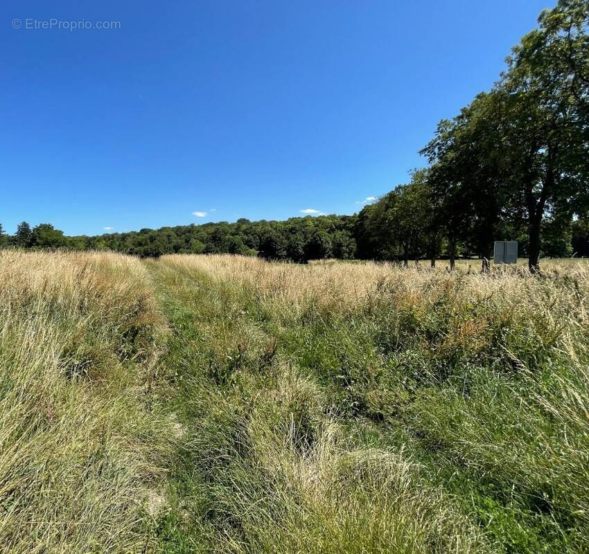 Terrain à CREPY-EN-VALOIS