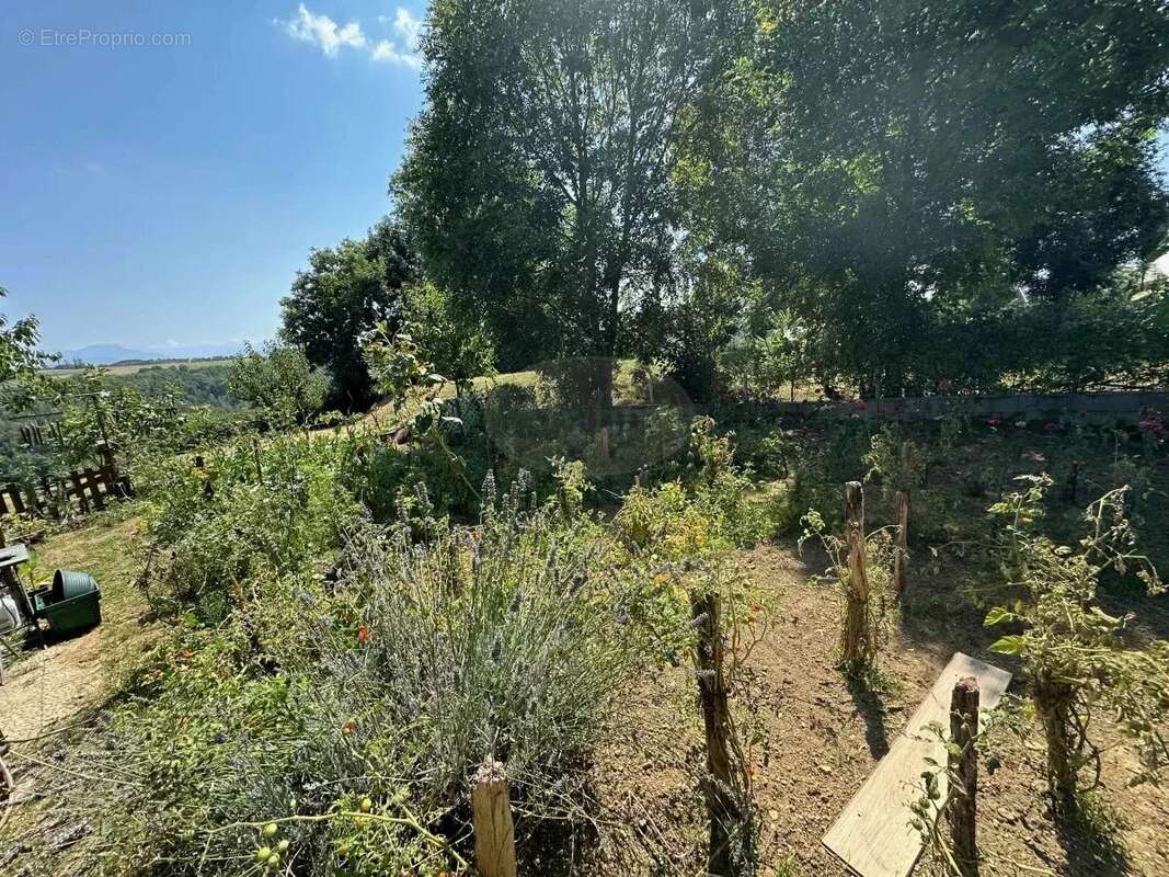 Maison à FRANQUEVIELLE