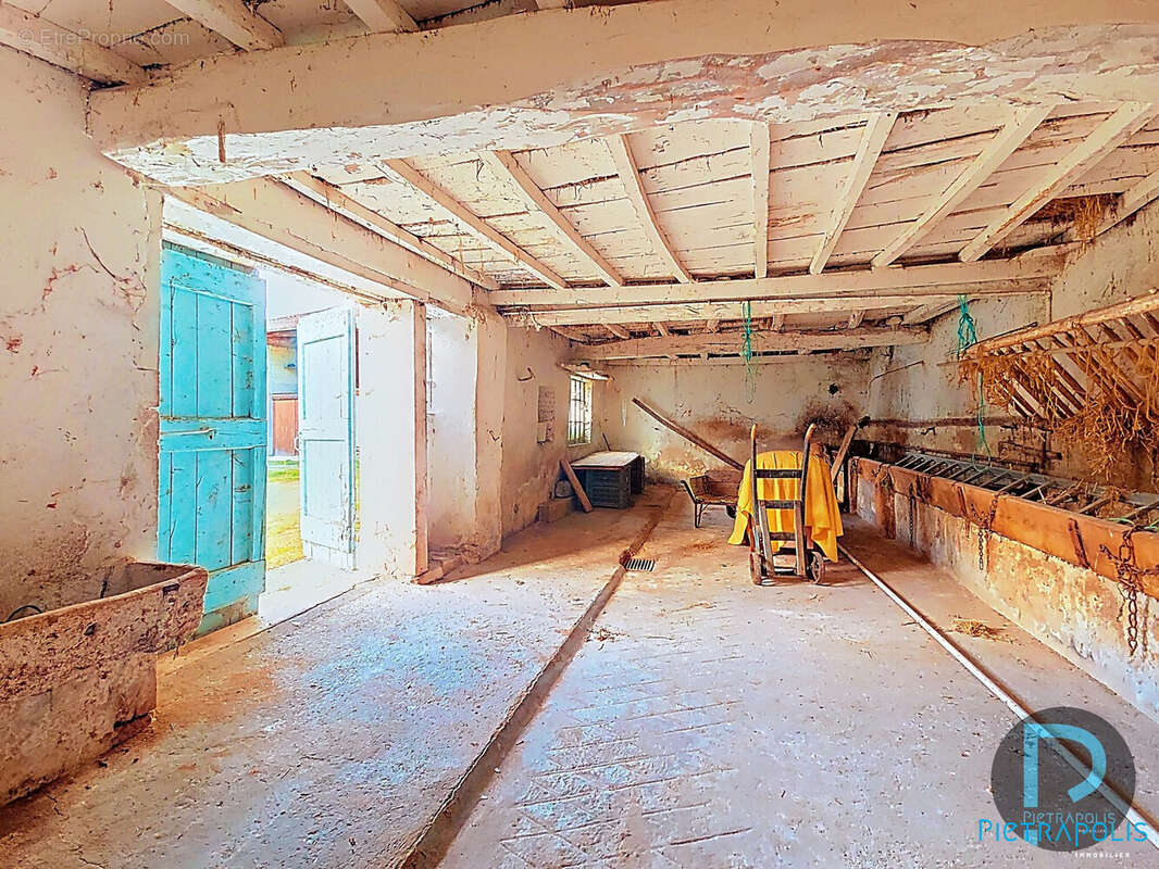 Maison à CORMORANCHE-SUR-SAONE