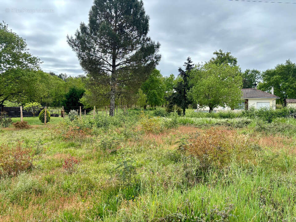 Terrain à MIMIZAN