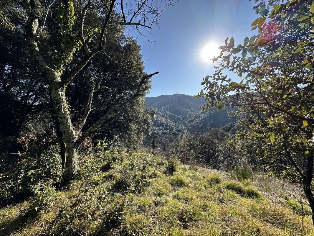 Terrain à NOTRE-DAME-DE-LA-ROUVIERE