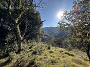 Terrain à NOTRE-DAME-DE-LA-ROUVIERE