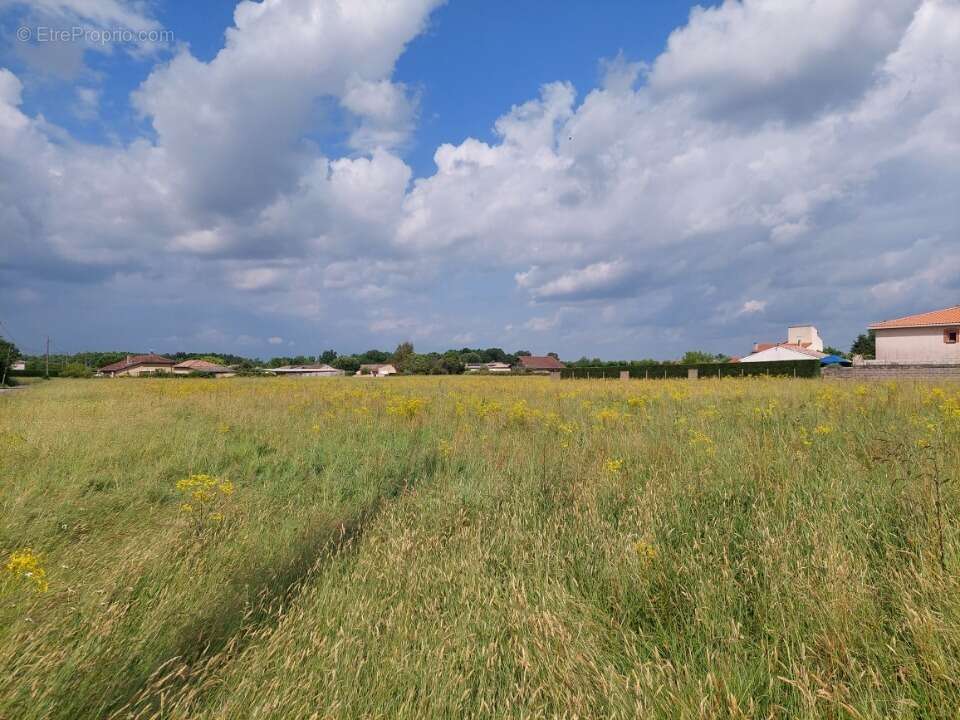 Terrain à SAINT-NICOLAS-DE-LA-GRAVE