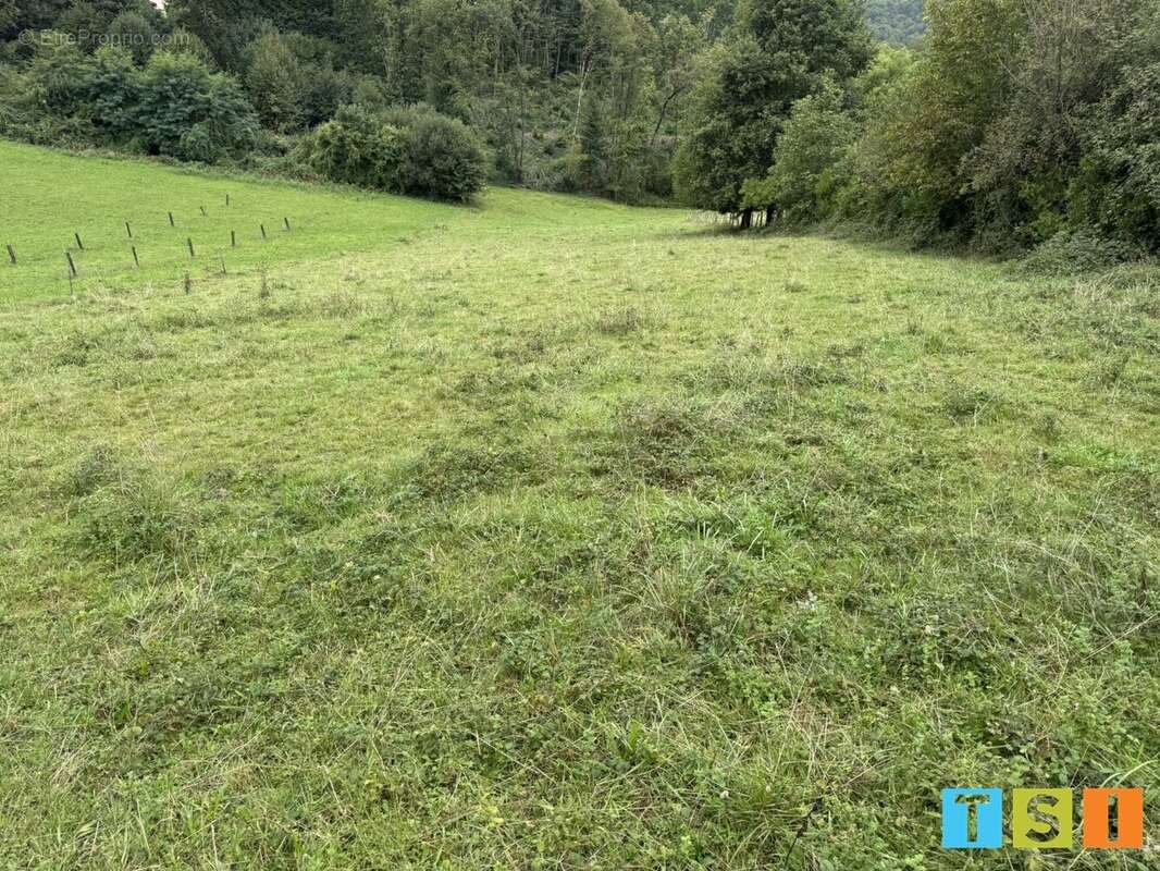 Terrain à ESTADENS