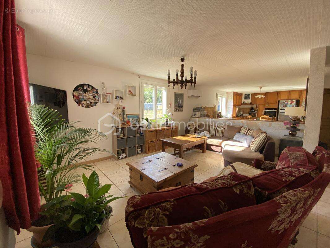 Commerce à CARCASSONNE