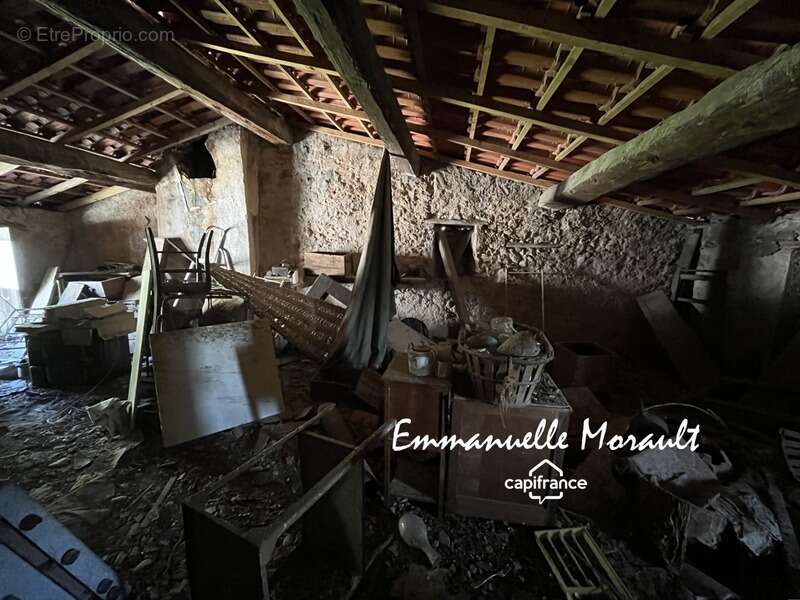 Commerce à BAGNOLS-EN-FORET