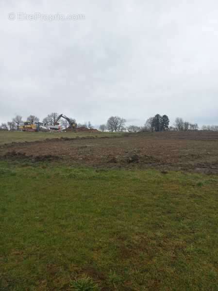 Terrain à ALLENJOIE