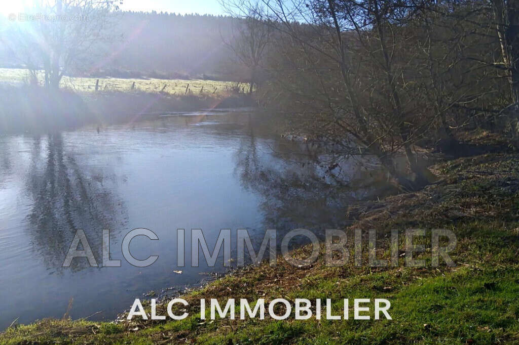Terrain à SAINT-LEONARD-DES-BOIS